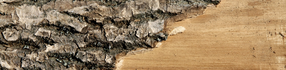 All About Hardwoods - Gallery Slide